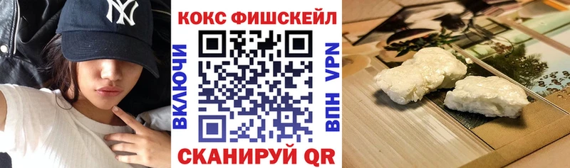 Купить закладки  Дигора  Cocaine 99% 