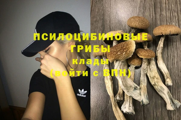соль ск Кинешма