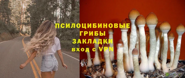 спайс Киренск