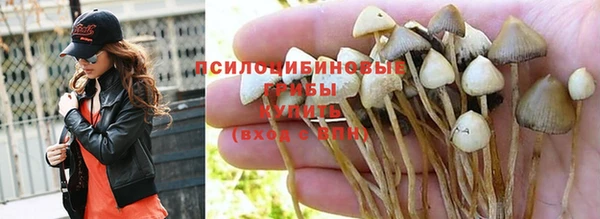 первитин Киреевск