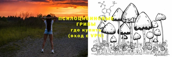 первитин Киреевск